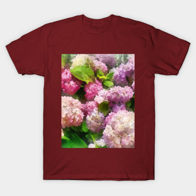 Pink and Lavender Hydrangea